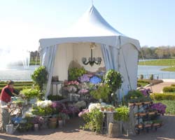 PHOTO: flower market