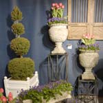 PHOTO: fair garden