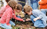PHOTO: kids in woods