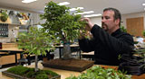 PHOTO: Bonsai Workshop