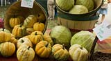 PHOTO: Winter Farmers' Market