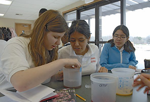 PHOTO: lab experiment