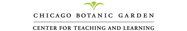 Center for Teaching and Learning.