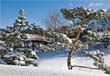 Winter notecard