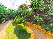 Semi Tropical  Greenhouse Virtual Tour