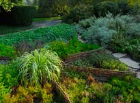 Landscape Garden