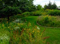 Native Plant Garden
