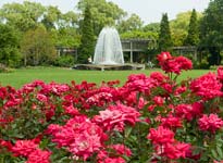 Rose Garden