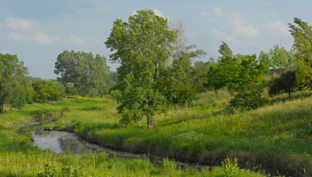 PHOTO: skokie river