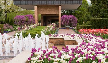 Circle Garden