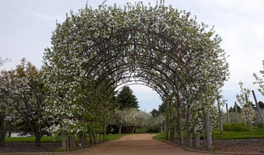 Circle Garden