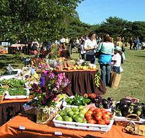 PHOTO: the North Chicago Market