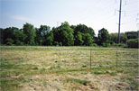 PHOTO: North Chicago Green Youth Farm
