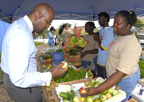 PHOTO: the North Lawndale Market