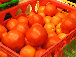 PHOTO: Green Youth Farm tomatoes