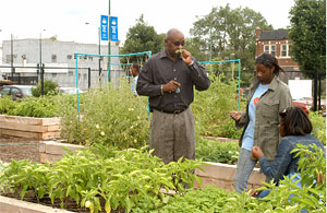 PHOTO: North Lawndale Green Youth Farm
