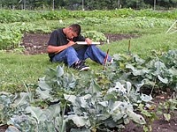 PHOTO: sketching in the field