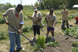 PHOTO: North Chicago students weed