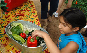 PHOTO: girl examining peppers