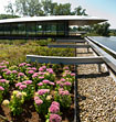 New Plant Science Center Opens at Chicago Botanic Garden