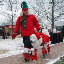 PHOTO: reindog