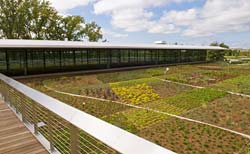 PHOTO: green roof