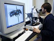 PHOTO: Microscope