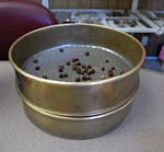 PHOTO: seed sorting