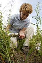 PHOTO: Plants of Concern