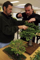 PHOTO: bonsai class
