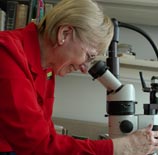 PHOTO: woman looking into microscope
