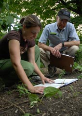 PHOTO: student studying trees