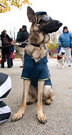 PHOTO: cop
