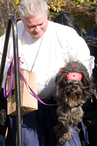 PHOTO: Dojo dog