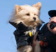 PHOTO: rock star