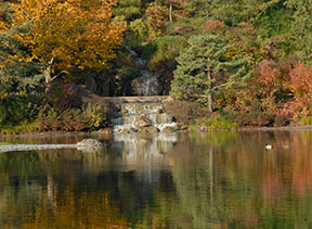 PHOTO: Color reflected in the lake
