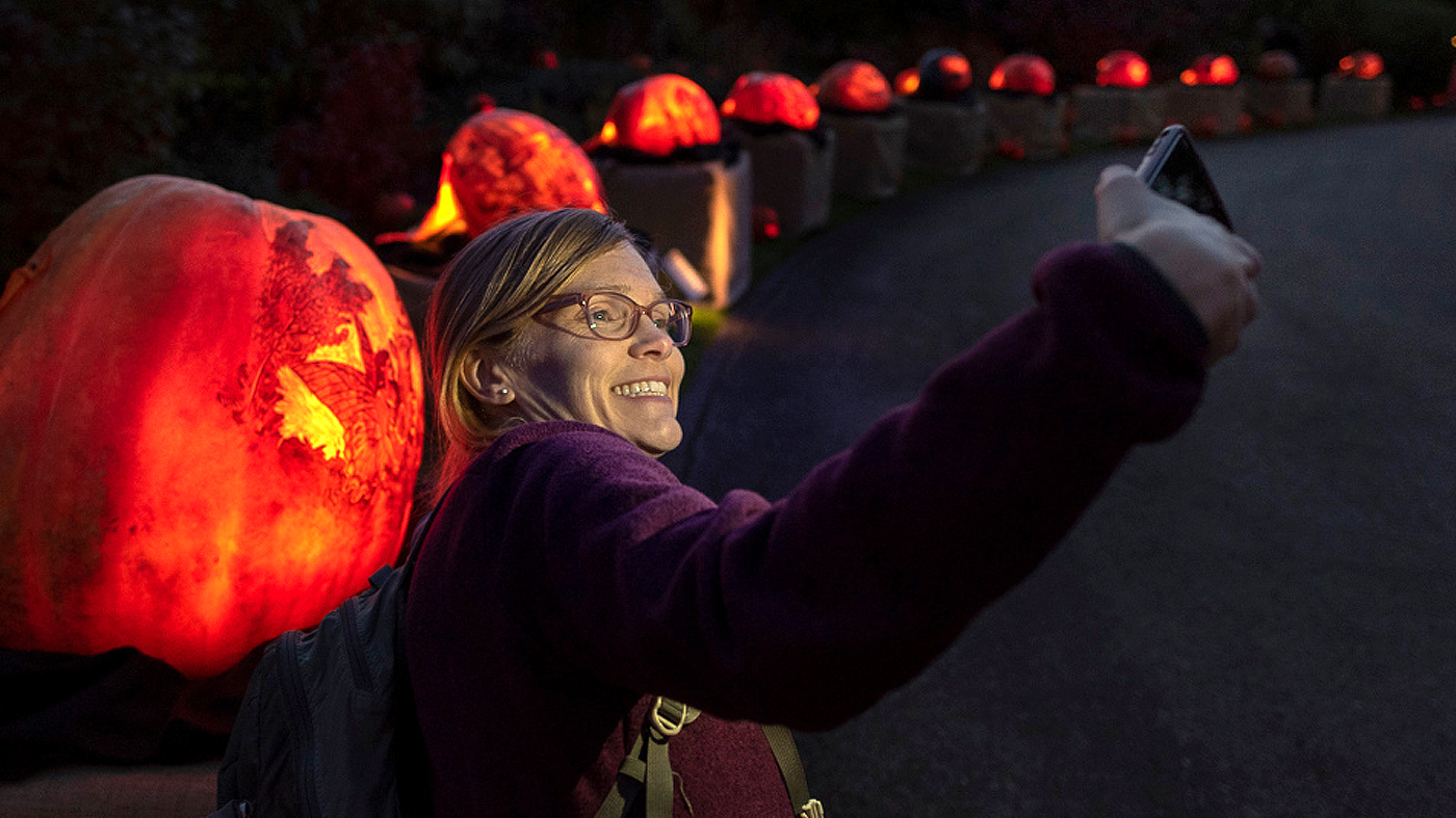 Jack-o'-lanterns Instagram Contest