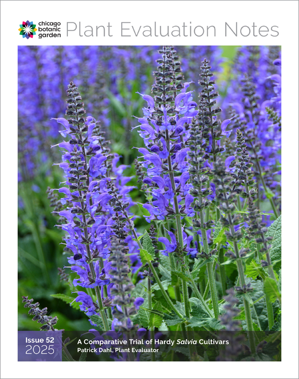 Salvia Evalustion Notes