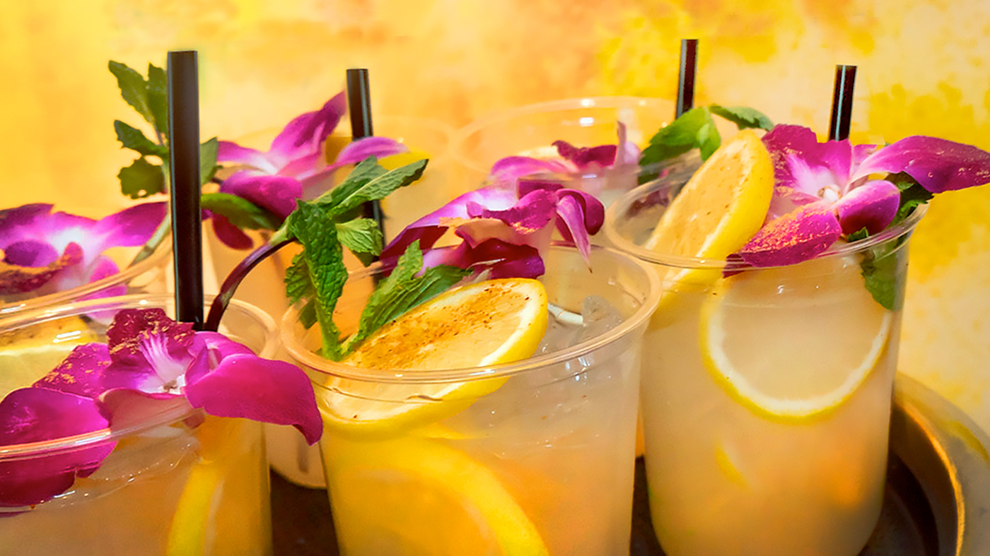 The Orchid Show: Feelin’ Groovy – Orchids After Hours