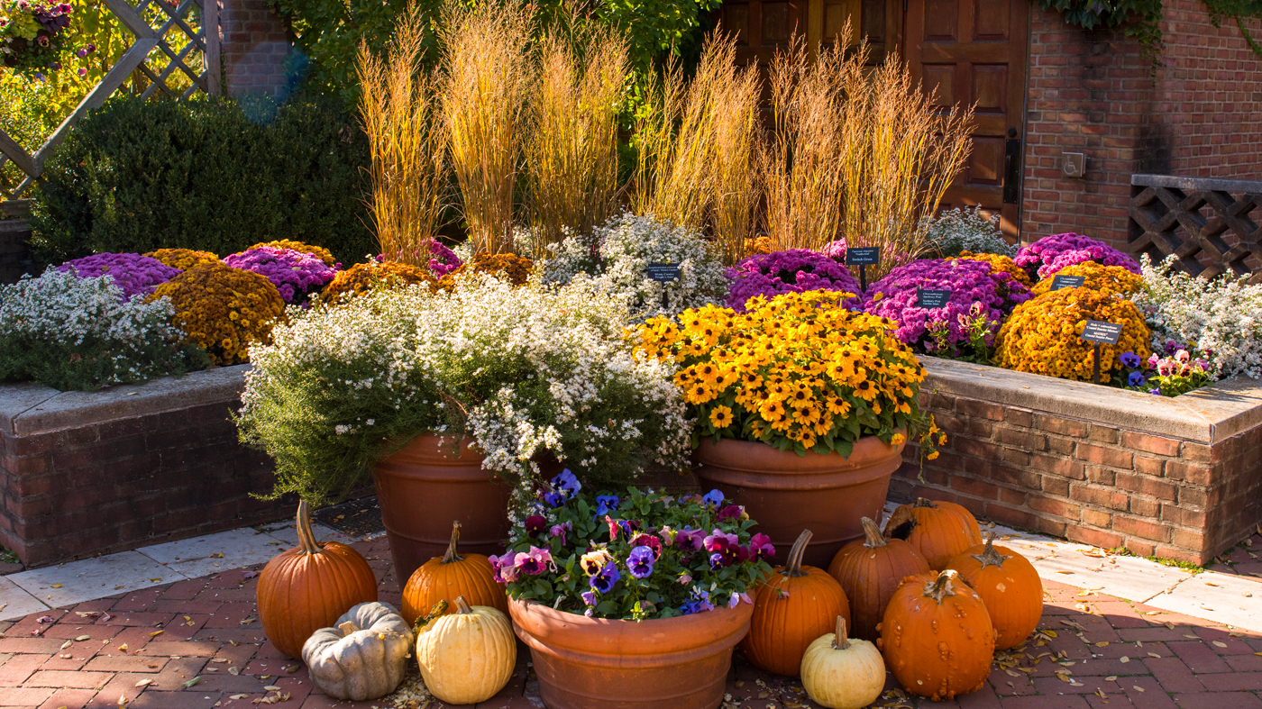 fall containers