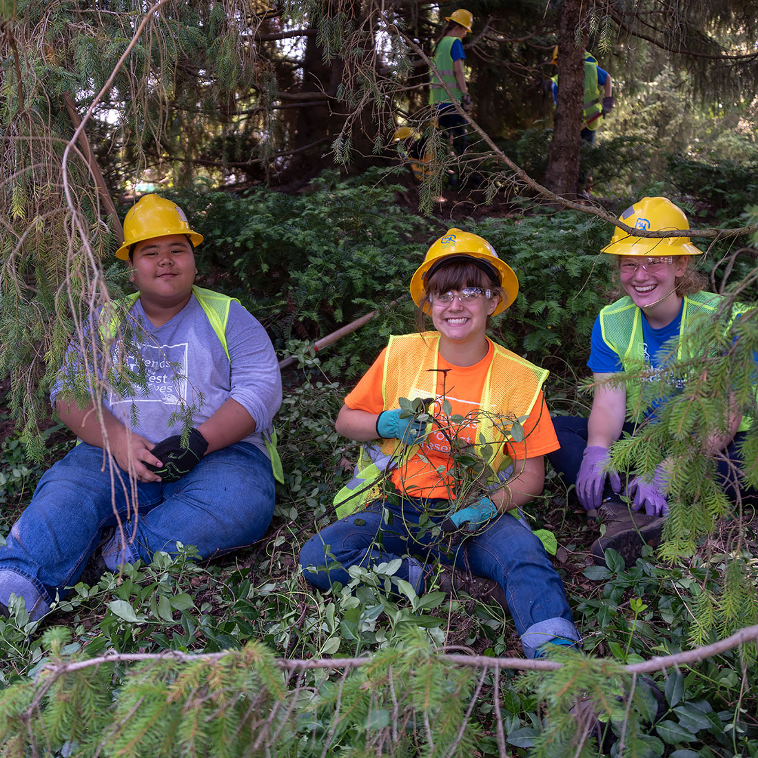 Conservation Corps Teens Working