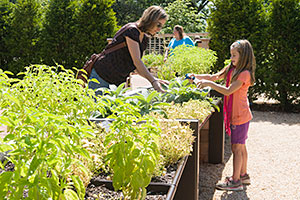 Nature Nights: Harvest Hike