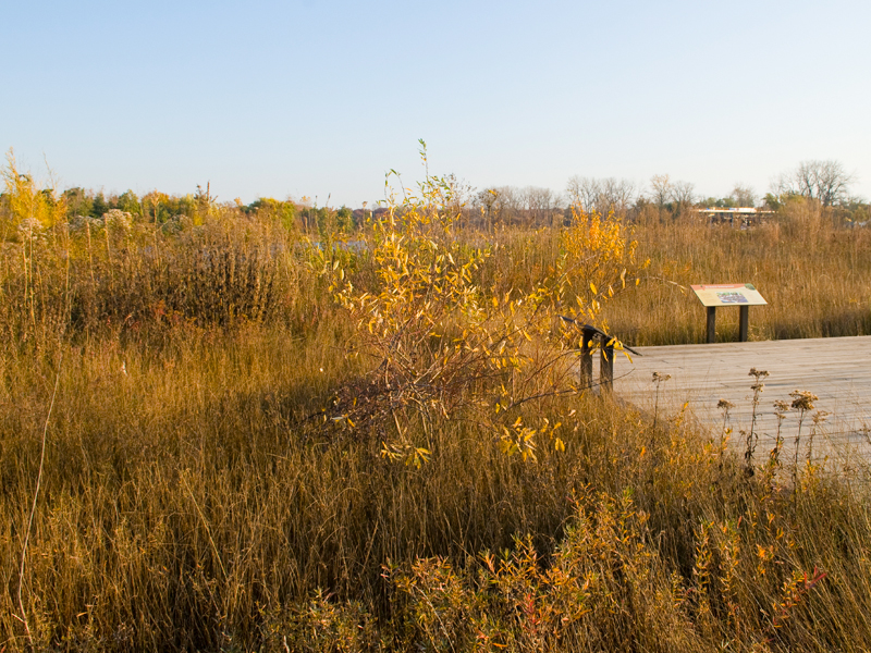 Prairie Sand