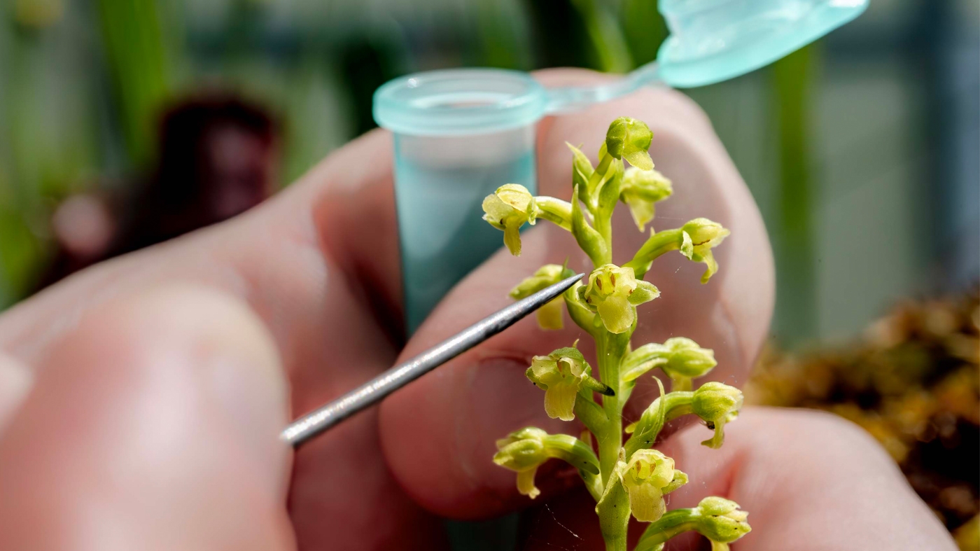 preventing-extinctions through science research