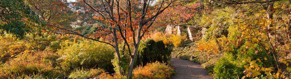 Chicago Botanic Garden 8885