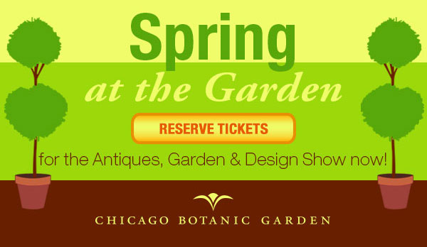 Spring Flowering Tree Infographic | Chicago Botanic Garden