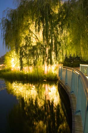A Summer Evening Walk through the Garden | Chicago Botanic Garden