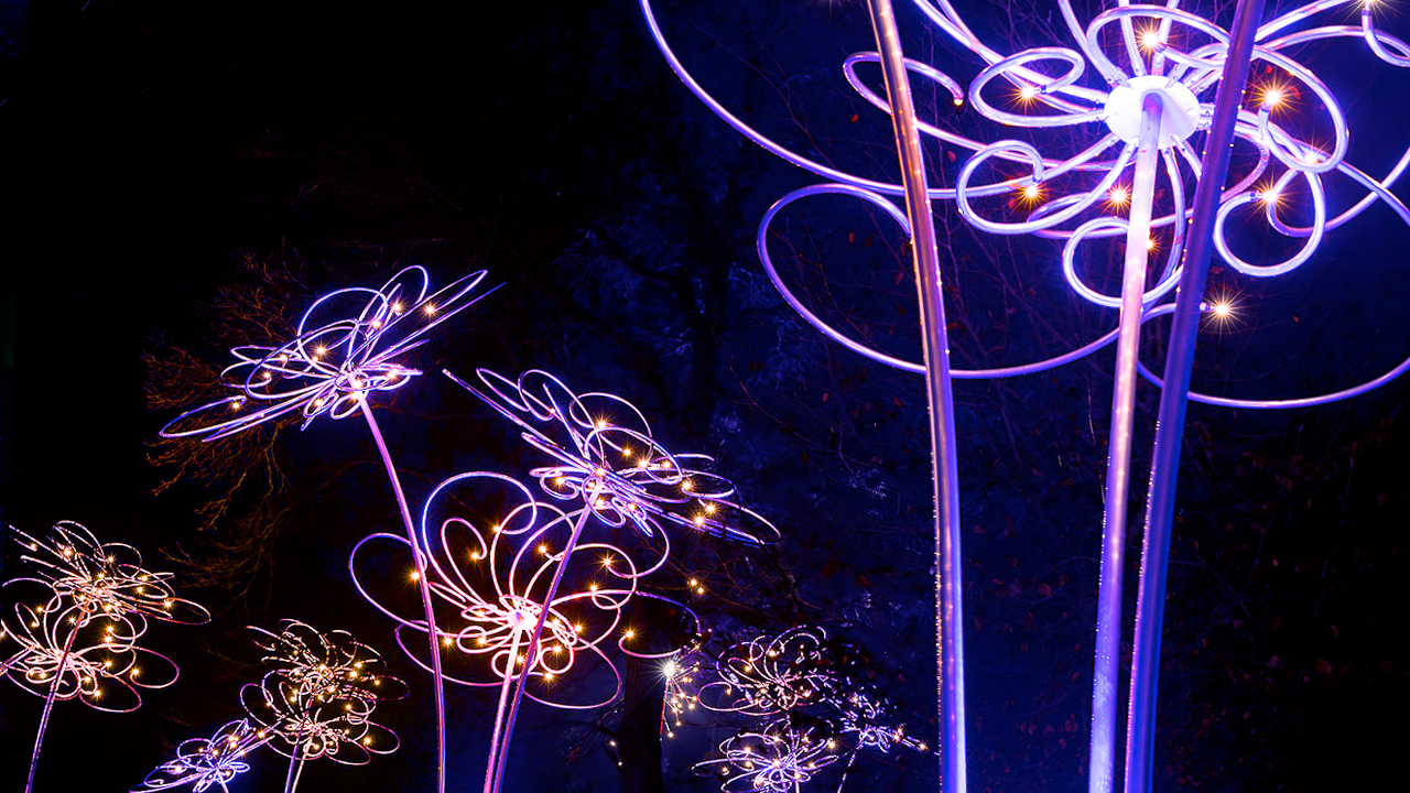 Lightscape Chicago Botanic Garden