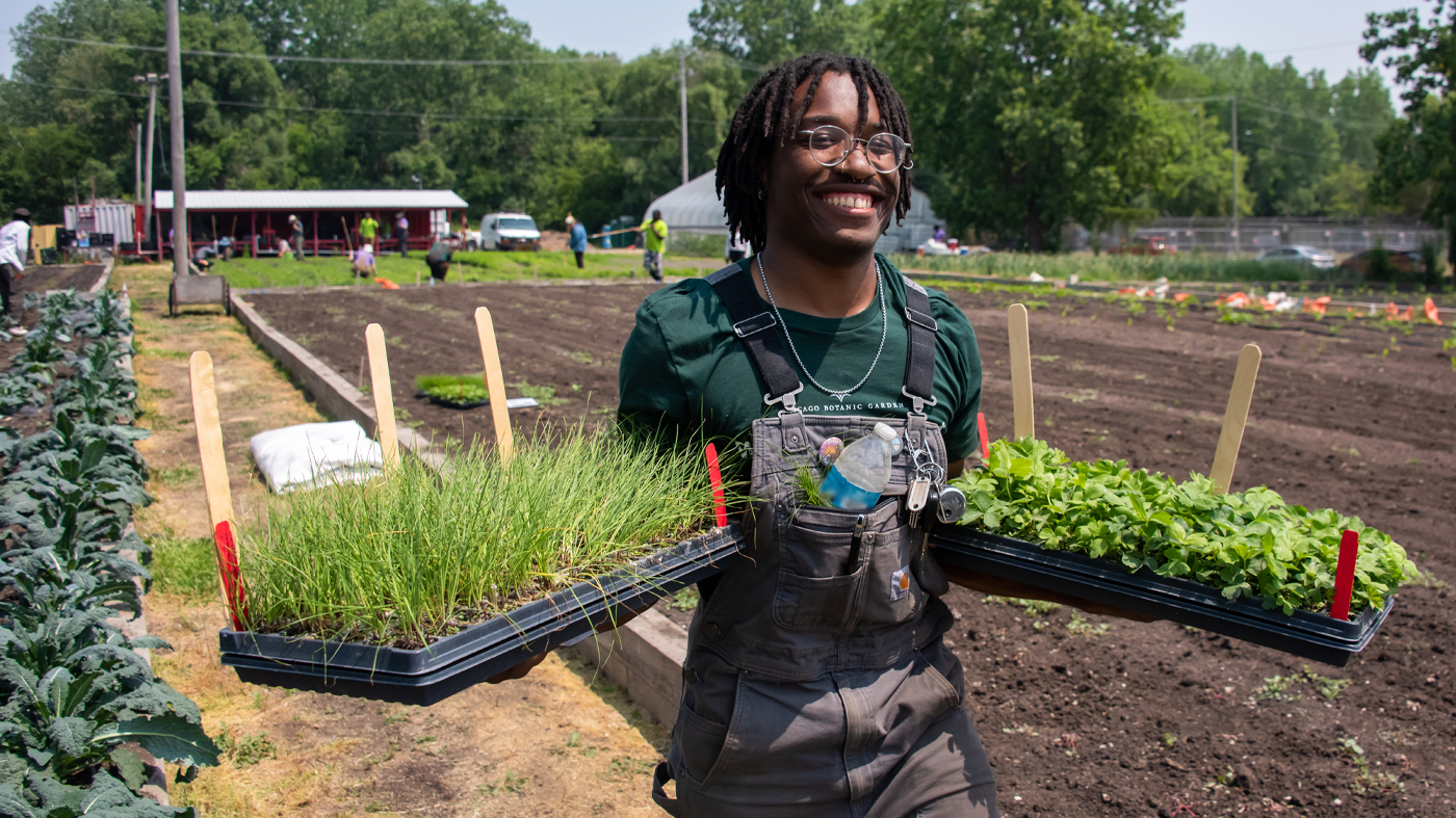 Urban Agriculture