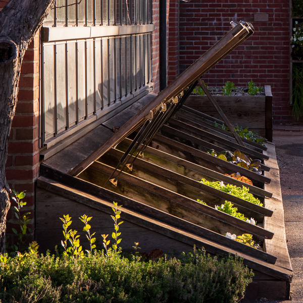 Cold frame